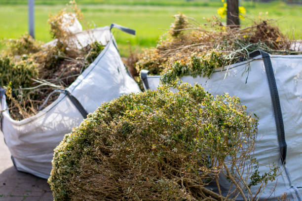 Best Furniture Removal  in Duncan, SC